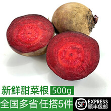 绿食者 新鲜甜菜根500g 甜菜头红甜菜农家蔬菜红根菜头