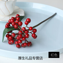 幸运红果带叶仿真浆果红果蓝莓假果子拍摄道具家居摆件diy花束花环装饰 红色 (大红)