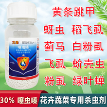 众合 30%噻虫嗪月季多肉植物白粉虱蚜虫跳甲飞虱蓟马绿叶蝉介壳虫杀虫剂 100g