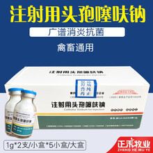 兽药兽用注射用头孢噻呋钠猪药牛羊鸡猫狗退烧药头孢粉针