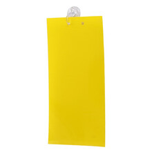 苍蝇贴粘蝇板小飞虫克星诱捕灭杀苍蝇黑飞果抓苍蝇贴纸粘虫板家用厨房 20张