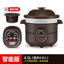 彩发（CAI FA） 陶瓷电炖锅全自动智能煲汤锅熬煮粥锅神器紫砂电砂锅家用炖盅养生 智能版4.5L（适合4-8人使用）