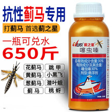 杀虫剂高效蓟马专用药豆角草莓茄子蔬菜蓟马绝杀抗性蓟马农药 500g