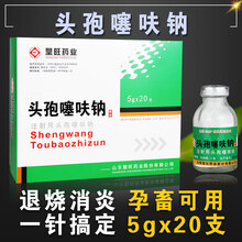 注射用头孢噻呋钠兽用 注射用孢头噻呋钠 头饱 兽用头孢 买10送1【20支装】