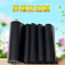 螃蟹大闸蟹甲鱼小龙虾养殖防跑防逃膜黑色防逃板塑料围板防水渗膜 防逃膜50公分28丝全熟料