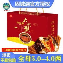 【活蟹现货】必有重蟹清水大闸蟹固城湖鲜活螃蟹特大全母全公河蟹毛蟹六月黄大蟹生鲜海鲜水产中秋礼盒装现货 【礼盒】公5.5-5.1两母3.9-3.6两8只