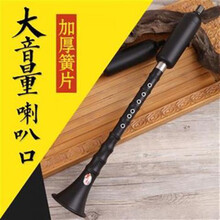 巴乌竖吹大音量巴乌乐器/调单管乐器 F调+包+指法表