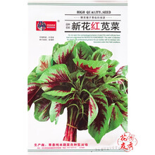 花友秀 红苋菜种子白苋菜种子  蔬菜种子 青苋菜种子 易种 庭院阳台种植 花红苋菜种子原装7g