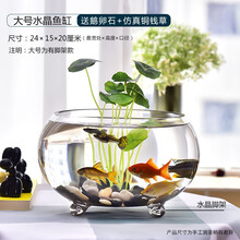 喜莱卡 水族箱办公桌面透明鱼缸椭圆金鱼缸创意小型造景生态圆形鱼缸客梯家用浮法玻璃鱼缸热带鱼缸懒人鱼缸 大号水晶圆缸【鱼缸+鹅卵石+仿真铜钱草】