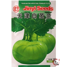 一播大地 苤兰种子 白苤蓝种子青苤兰阳台盆栽四季易种蔬菜种子春播种丕蓝春季蔬菜种子 天津白苤兰种子原装15g