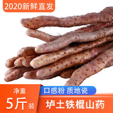 补诱旗舰店温县垆土铁棍山药河南焦作农家新鲜怀山淮山约片铁杆淮山5斤装 垆土铁棍山药 [普通款]