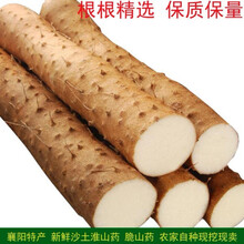 生鲜  襄阳脆山药 菜山药 粗大山药  农家淮山药 现挖现发 五斤装