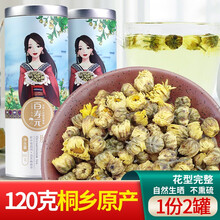 百寿元胎菊王 代用茶 花草茶 杭白菊花蕾 60g*2罐