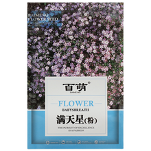 百萌（BAI MENG）多年生天星种子 春播家庭室内外阳台盆栽秋季播易种 观花卉植物花种籽 花草花籽 满天星种子  粉色盆栽型 2克约2000粒 原包装