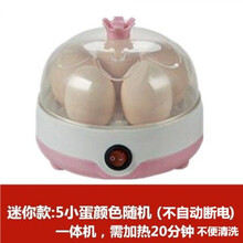 自动断电 煮蛋器多功能大容量蒸蛋器家用迷你煮鸡蛋羹机早餐神器 迷你：5蛋一体机(不能清洗)