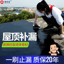 馨享家 环保防水涂料房屋顶防水胶补漏材料外墙隔热涂料白色堵漏王 【京速快送】4斤黑色/施工4㎡耐磨耐高低温