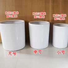 高筒陶瓷花盆特大号发财树平安树花盆高款室内外客厅花盆植物花卉 纯白圆柱 中等