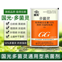 国光多菌灵多肉月季杀菌剂通用花药百菌清灵农药花卉植物养花 50g