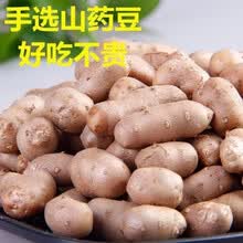 正宗铁棍小白嘴山药豆新鲜淮山药豆铁杆山药蛋怀山零余子山药 中果5斤家庭装