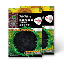 中科茂华蔬菜种子三系杂交79-79矮大盘油葵种子矮大头榨油用葵花種子20克