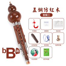 葫芦丝乐器初学者小学生儿童演奏型防摔胡芦丝吹奏乐器 【五铜加固款】仿红木降B调套餐三