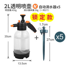 浇花喷雾瓶洒水壶压力喷水壶喷雾器小型浇水气压式喷壶园艺洗车 2L透明喷壶+浇花器