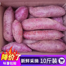 ֦ңZHIYAO 10װɳ  ߲˵عũ ﾫѡƷ   13.24Ԫ