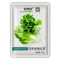 蔬菜种子 青菜番茄种籽 小葱草莓家庭四季蔬菜种子 阳台庭院种植超甜圣女果菜籽 玻璃生菜种子20g