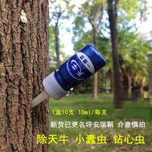 坪安天牛一插灵园林红枫柳树钻心虫天牛幼虫柑橘果树蛤虫杀虫剂 100ml