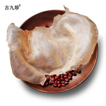 【古九珍】鱼胶花胶 蝴蝶鱼胶 100克约3头装 鳘白鱼肚 干货鳔鳖 鱼肚鱼鳔 干货孕妇月子