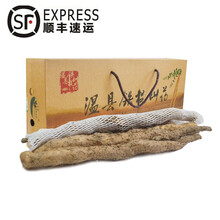 顺丰速运 蔬果哆 焦作温县特产 新鲜山药 垆土铁棍 淮山药 20年新货  粉面糯 2.5kg 五斤装 (网套加气柱)礼盒包装 (50-55)cm