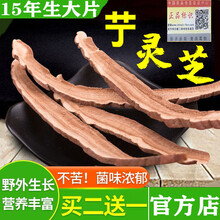 艼灵芝官网西藏野生兰茸艼(买2贈1)  大片艼灵芝片带防伪验证 【精选100g大片】买2贈1再贈枸杞