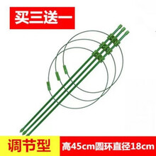 飘香藤花架 多层花架伸缩包塑爬藤支架花卉支撑攀爬带圈圈月季铁线莲藤蔓文竹艺联家 45CM高(3杆3圈)圈18CM