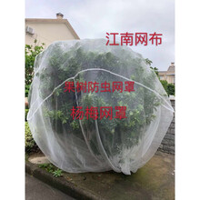 水果树网罩杨梅网罩防虫网莲雾蓝莓网桃树防鸟网网罩大棚网罩蚊帐 5*5米(一张网片)
