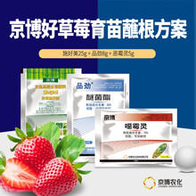 京博好草莓育苗蘸根方案 精品施好美+噁霉灵+品劲 育苗专用套餐 农药杀菌剂 植物营养剂 草莓种植技术 育苗5套