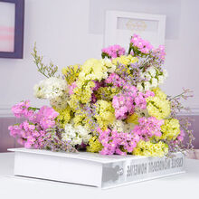 云南干花花束勿忘我真花家居摆设插花简约混搭满天星干花装饰摆件 (粉白黄情人草 默认1