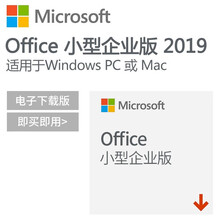 微软正版Office2019/2016专业版家庭学生版小型企业版专业增强版/办公软件 office2019专业版绑定微软账户