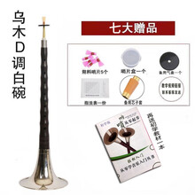 京炫（JINGXUAN)唢呐乐器d调全套演奏红木/乌木杆初学者成人唢呐 乌木D调白碗+七+资料