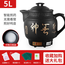 FEDAIR全自动家用电煎药壶煎中药壶煲中医砂锅药罐陶瓷养生壶熬药壶 5L白瓷发热带鸣音全自动【13礼】