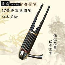17簧扩音圆笙乐器成人儿童初学入门CEGD调民族乐器笙厂家直销 17簧红木笙脚普及笙