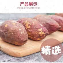 【粉糯香甜】四川现挖新鲜白心红薯沙地番薯地瓜白薯甜蜜薯板栗薯 【特大果】带箱9.5-10斤