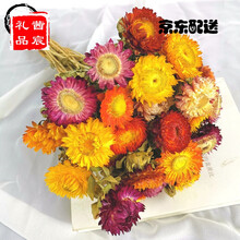 小雏菊干花风干真花雏菊干花花束ins装饰摆件diy文艺插花 20朵菠萝菊 干树枝