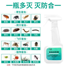 九行 跳蚤臭虫药杀虫剂除螨虫喷雾家用母婴植物型床上免洗防杀虱子蚊苍蝇蚂蚁灭杀蟑螂药除虫剂通用喷雾剂 500ML