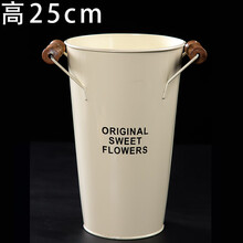 云南天然勿忘我干花花束客厅摆设满天星真花装饰摆件小大束论斤卖 白色花桶 干树枝