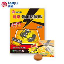 榄菊粘鼠板老鼠贴捕鼠器 5张装 沾鼠板灭鼠器