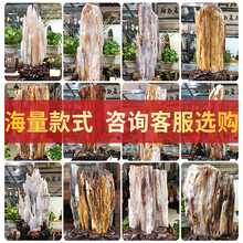 知茗缅甸树化玉摆件原石大摆件天然奇石冰种古生物装饰木化石 海量款式-咨询选购