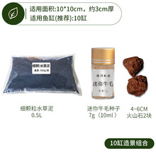 琅河水族 水草泥鱼缸造景泥懒人造景底砂 草缸 10缸造景组合