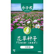 乐子君 种子 花卉种子四季播种花种子波斯菊花种子格桑花种籽子七彩花种四季开花易活花籽庭院室外种孑 波斯菊1000粒