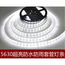 12vled贴片软灯带套管水户外雨超高亮5630汽车用24vled软灯条 1米/条(12v) 白色  60