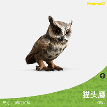 玩模乐仿真野生动物模型 大号猫头鹰鸵鸟老鹰白头鹰儿童玩具3-10岁 大号猫头鹰